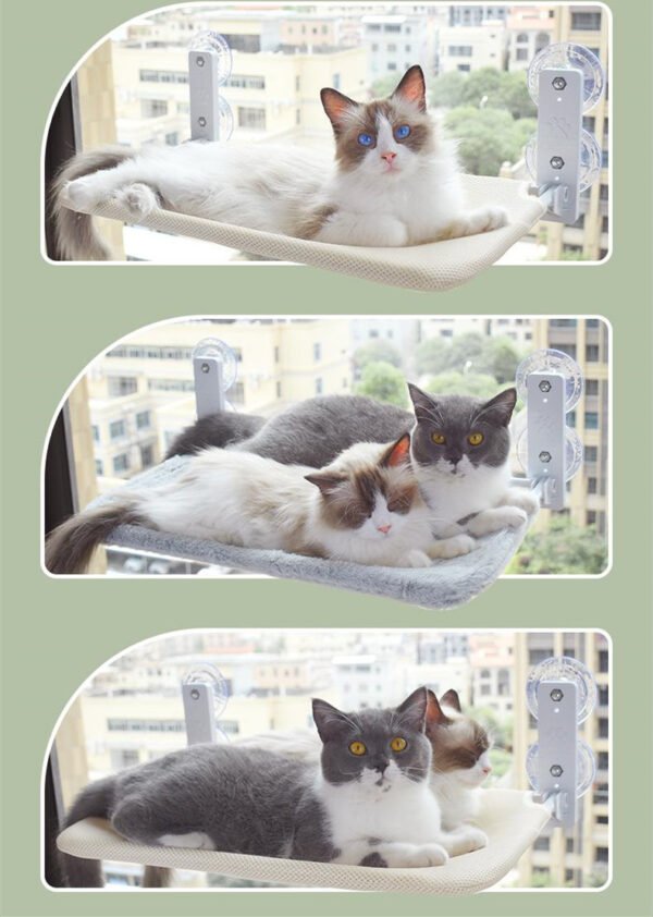 Cat Suction Cup Window Glass Hammock - Image 3
