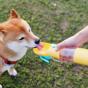 Pets Water Feeding Cup