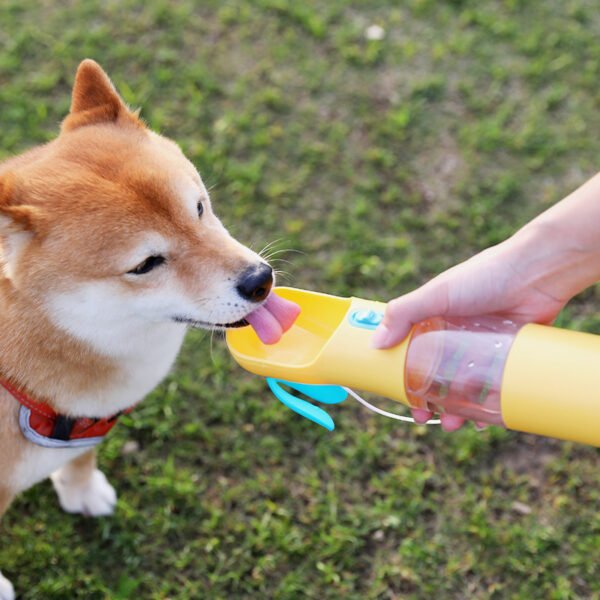 Pets Water Feeding Cup