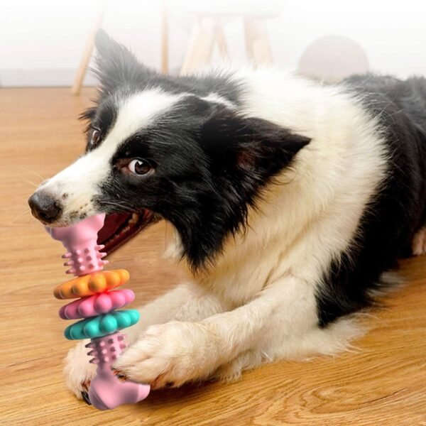 Dog Chew Toy - Image 7
