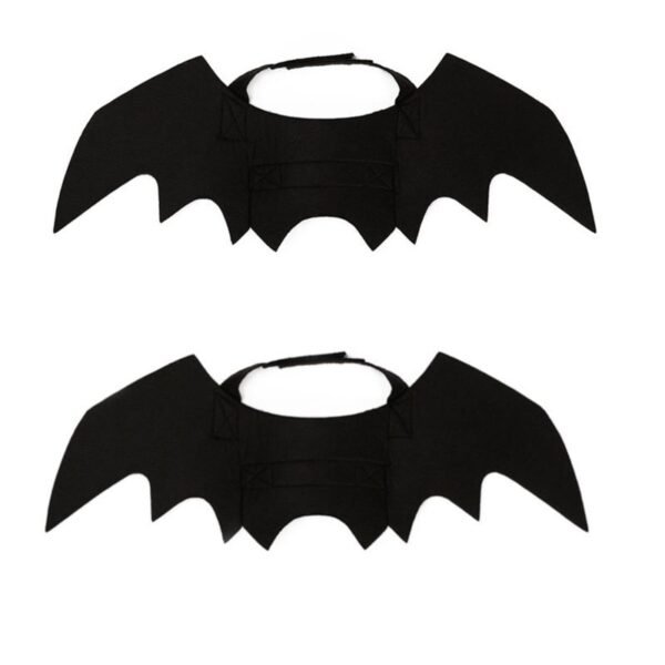 Halloween Costume Pet - Image 8