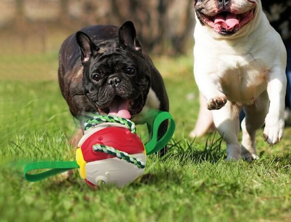 Interactive Dog Football Soccer Ball - Image 6