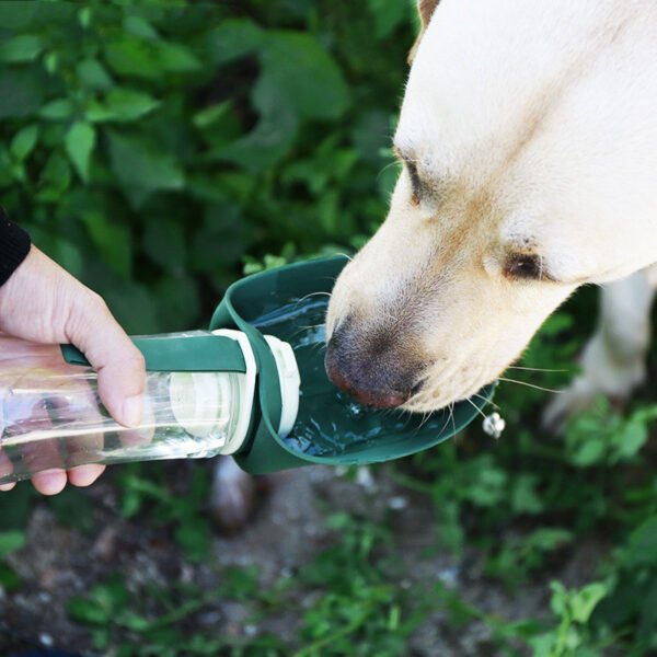 2 In 1 Multifunction Pet Dog Water Bottle Silicone Foldable - Image 5